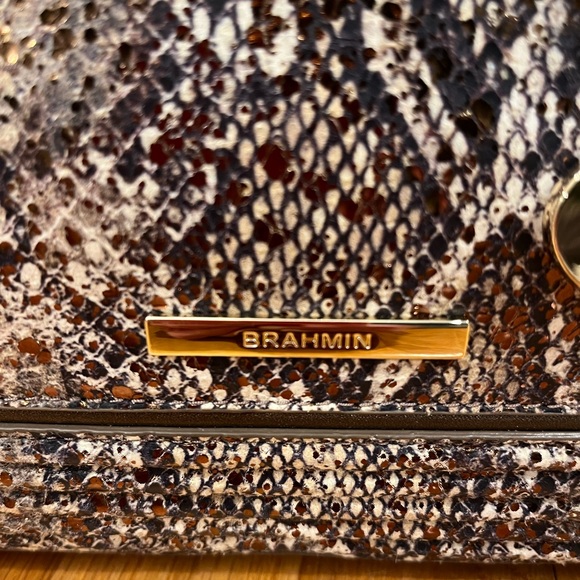 Snakeskin Pattern Handbag - Picture 4 of 10